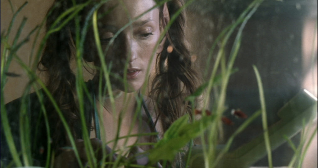 tony zoreil,valentin potier