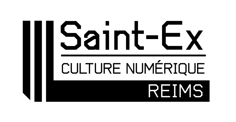 logo saintex noir
