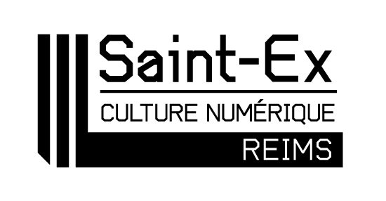 logo saintex noir@2x 100